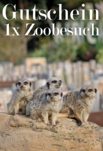 Zoo Gutscheine Vorlage 4