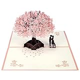 Geburtstagskarte, 3d Pop up Hochzeitskarte für die meisten Anlässe, Romantik Faltkarte Grußkarte Valentinstag Karte mit Umschlag MEHRWEG