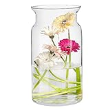 Blumenvase Vase Glas Glasvase für Blumen Glasblumenvase Tischvase Dekovase Deko-Vase aus Glas Wohnzimmer Deko Dekorative Vase | 5150 ml | H. 29.5 cm | Sunflower