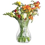 Blumenvase Vase Glas Glasvase für Blumen Glasblumenvase Tischvase Dekovase Klarglasvase Deko-Vase aus Glas Wohnzimmer Deko Dekorative Vase | H. 18 cm | Poppy