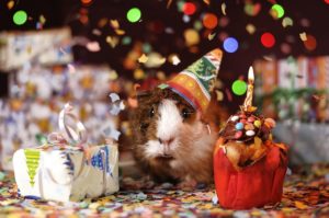 Gutscheinvorlage Geburtstag