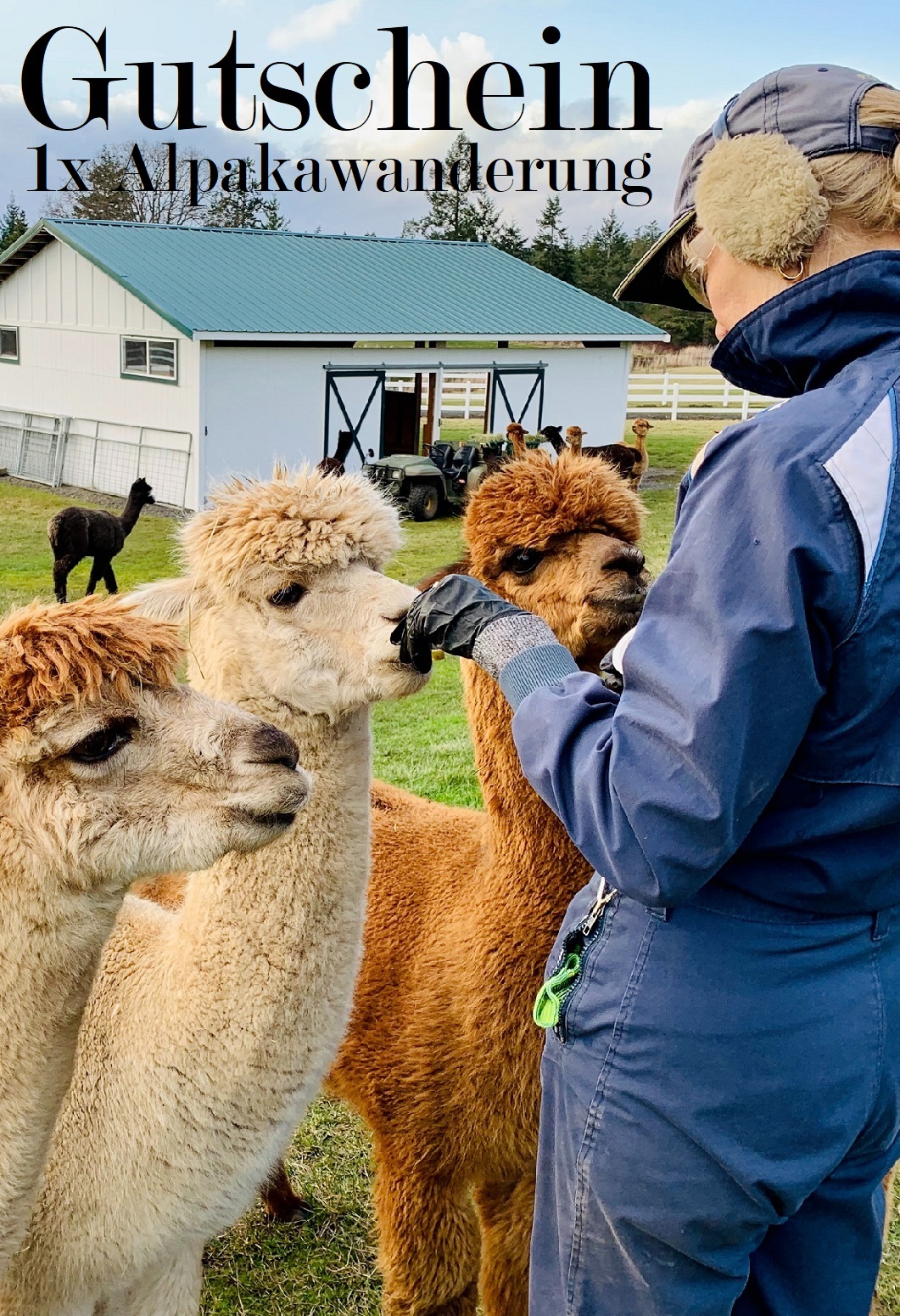 Gutscheinvorlage Erlebnisangebot
