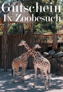Zoo Gutscheine Vorlage 6