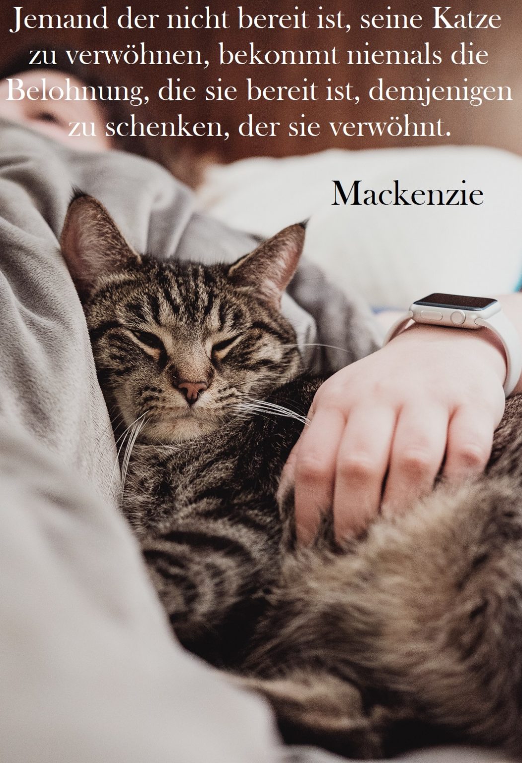 Katzenspruch Nummer 23 Gutscheinspruch.de