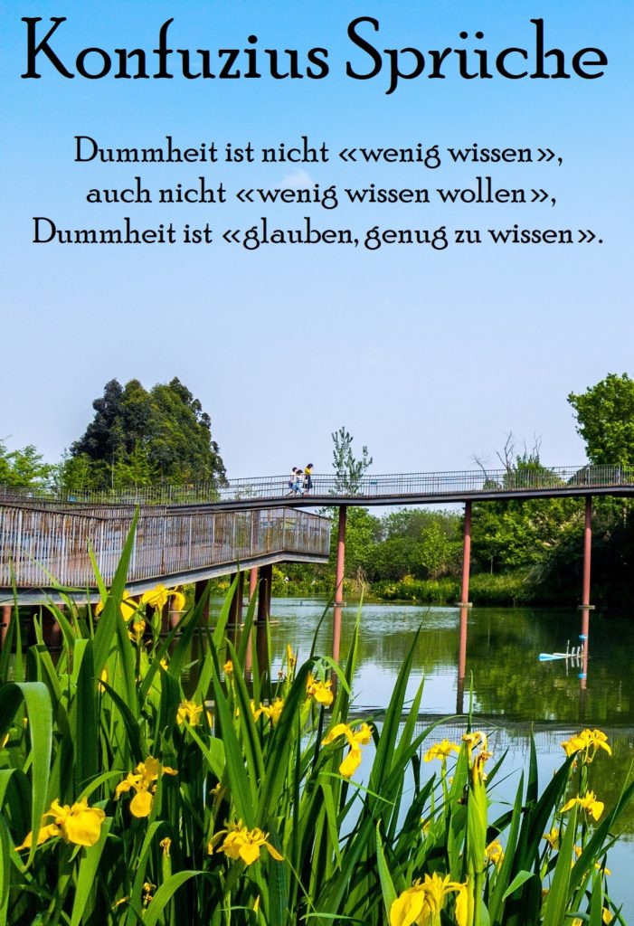 Konfuzius Spruch Nummer 8 Gutscheinspruch.de