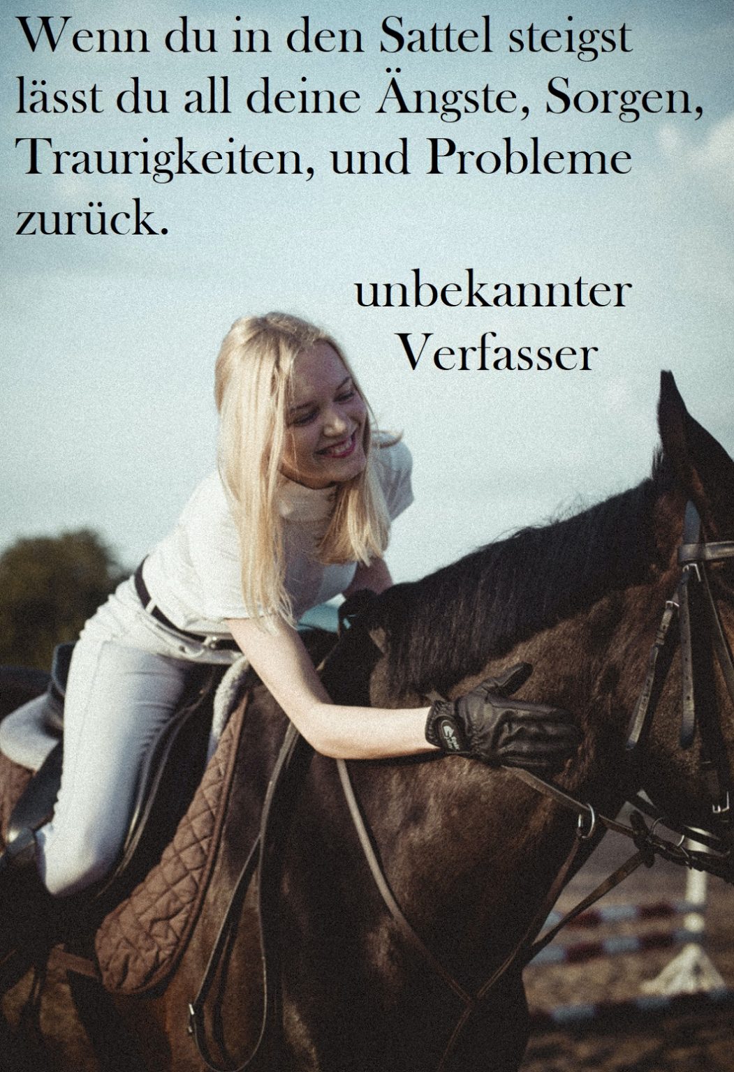 Pferdespruch Nummer 23 Gutscheinspruch.de