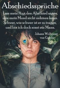 Johann Wolfgang von Goethe Spruch 1