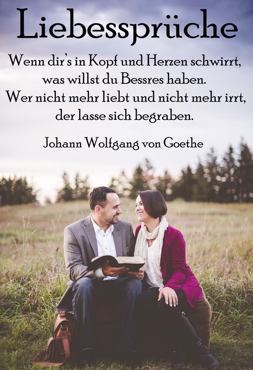 Johann Wolfgang von Goethe Spruch 3