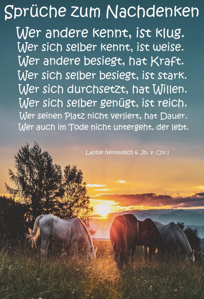 Sprüche zum Nachdenken 12 Gutscheinspruch.de