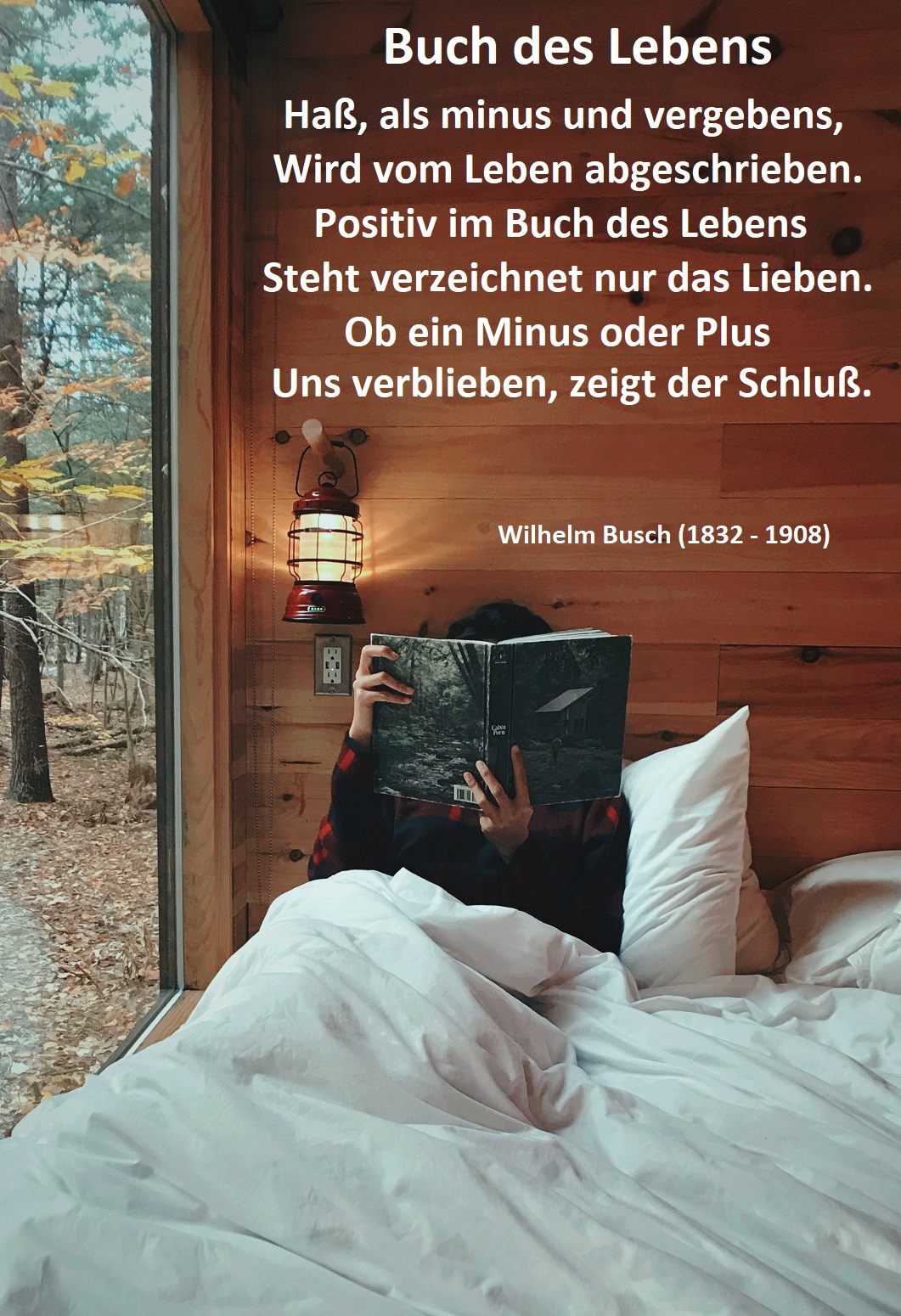 Wilhelm Busch Gedicht-Bild 11
