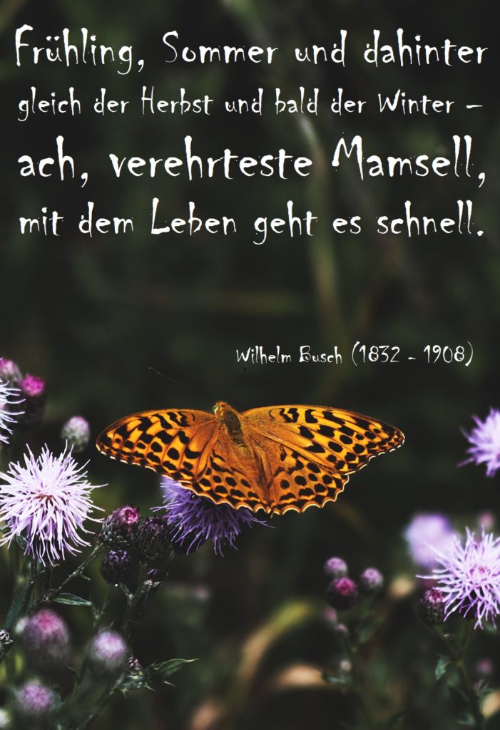 Wilhelm Busch mittlerer SpruchBild 1 Gutscheinspruch.de